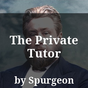 The Private Tutor