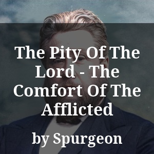 The Pity Of The Lord - The Comfort Of The Afflicted