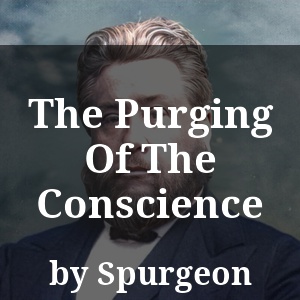 The Purging Of The Conscience