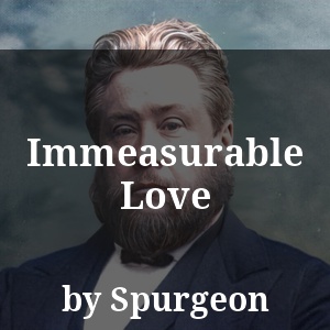 Immeasurable Love