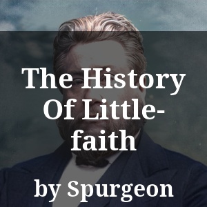 The History Of Little-faith