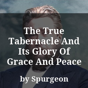 The True Tabernacle And Its Glory Of Grace And Peace