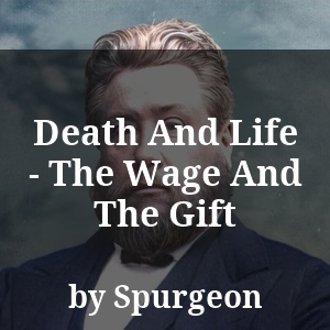 Death And Life - The Wage And The Gift