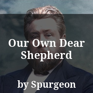 Our Own Dear Shepherd