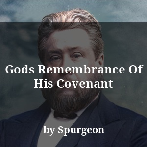 Gods Remembrance Of His Covenant