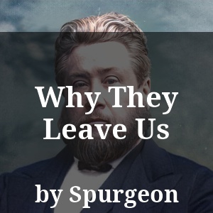 Why They Leave Us