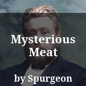 Mysterious Meat