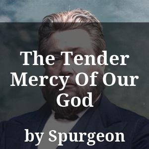 The Tender Mercy Of Our God