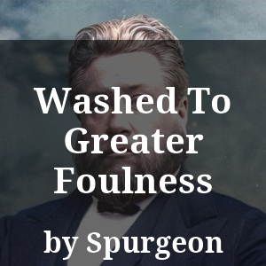 Washed To Greater Foulness