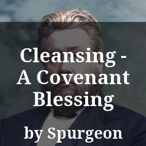 Cleansing - A Covenant Blessing