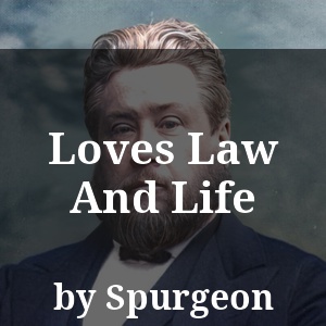 Loves Law And Life