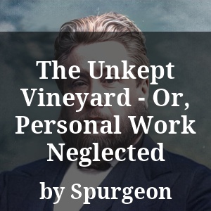 The Unkept Vineyard - Or, Personal Work Neglected