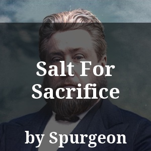 Salt For Sacrifice