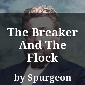 The Breaker And The Flock