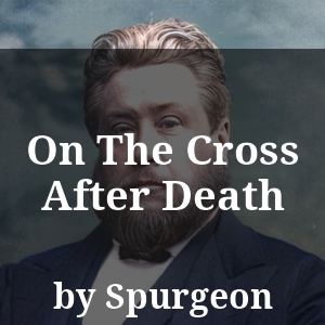 On The Cross After Death