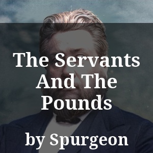 The Servants And The Pounds