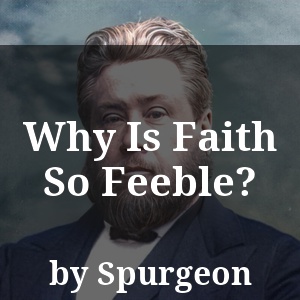 Why Is Faith So Feeble?