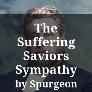 The Suffering Saviors Sympathy