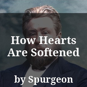 How Hearts Are Softened