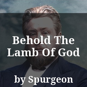 Behold The Lamb Of God