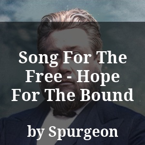 Song For The Free - Hope For The Bound