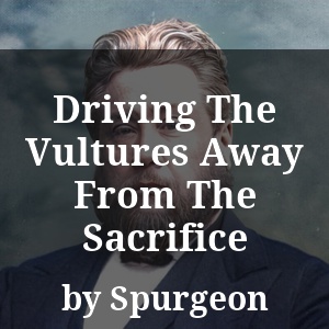 Driving The Vultures Away From The Sacrifice