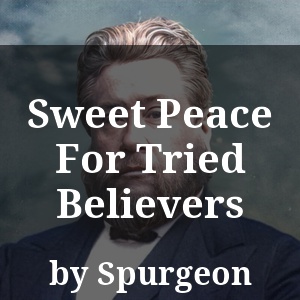 Sweet Peace For Tried Believers