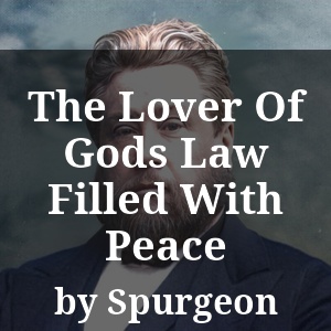 The Lover Of Gods Law Filled With Peace