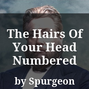 The Hairs Of Your Head Numbered