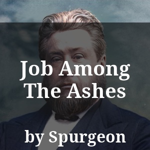 Job Among The Ashes