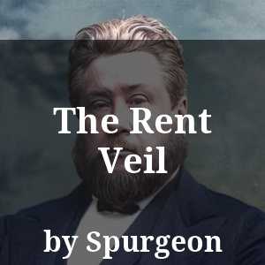 The Rent Veil