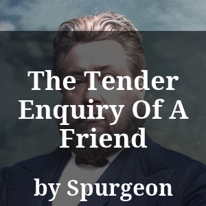 The Tender Enquiry Of A Friend