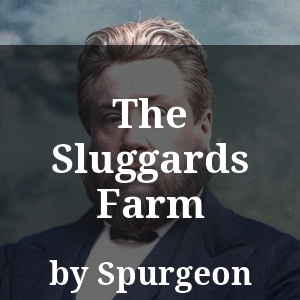 The Sluggards Farm