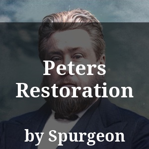 Peters Restoration