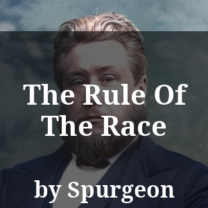 The Rule Of The Race