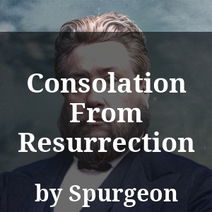 Consolation From Resurrection