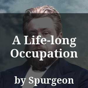 A Life-long Occupation