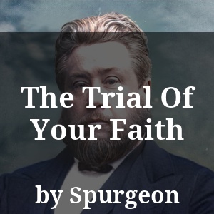 The Trial Of Your Faith