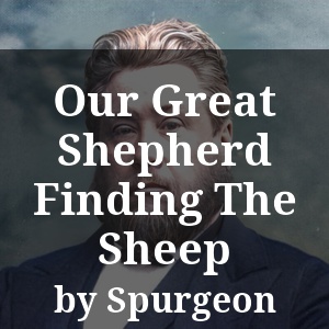 Our Great Shepherd Finding The Sheep