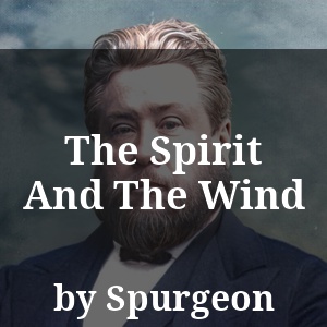 The Spirit And The Wind