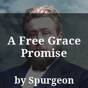 A Free Grace Promise