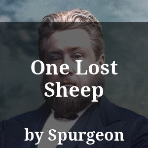 One Lost Sheep