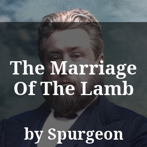 The Marriage Of The Lamb