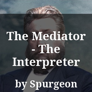 The Mediator - The Interpreter