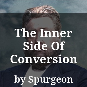 The Inner Side Of Conversion