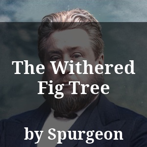 The Withered Fig Tree