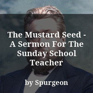 The Mustard Seed - A Sermon For The Sunday School Teacher