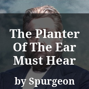 The Planter Of The Ear Must Hear