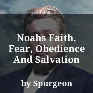 Noahs Faith, Fear, Obedience And Salvation