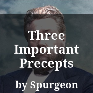 Three Important Precepts